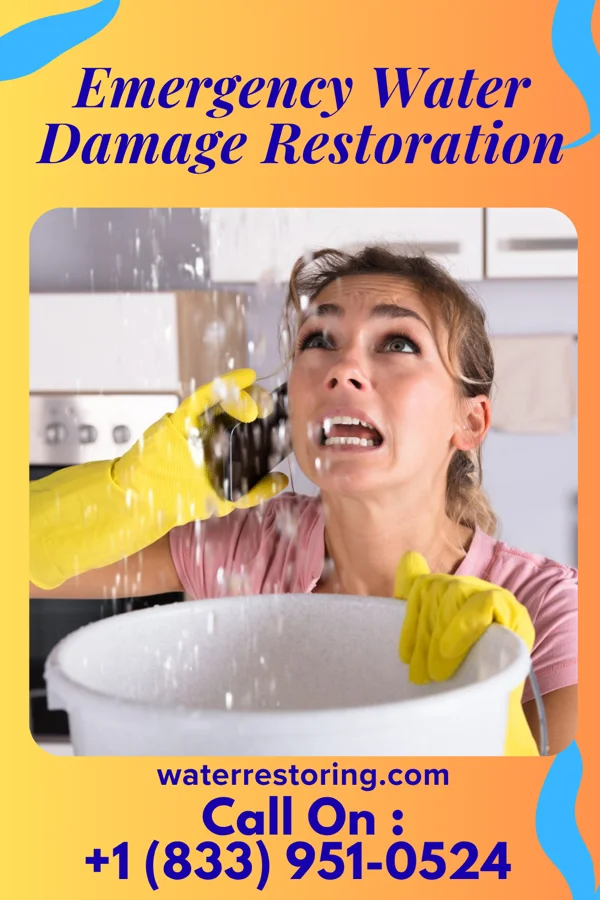 Emergency Water Damage Restoration in Greensboro, MD