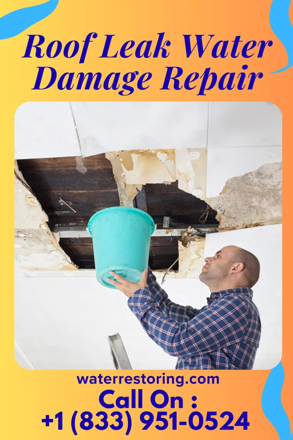 Roof Leak Water Damage Repair in Greensboro, MD