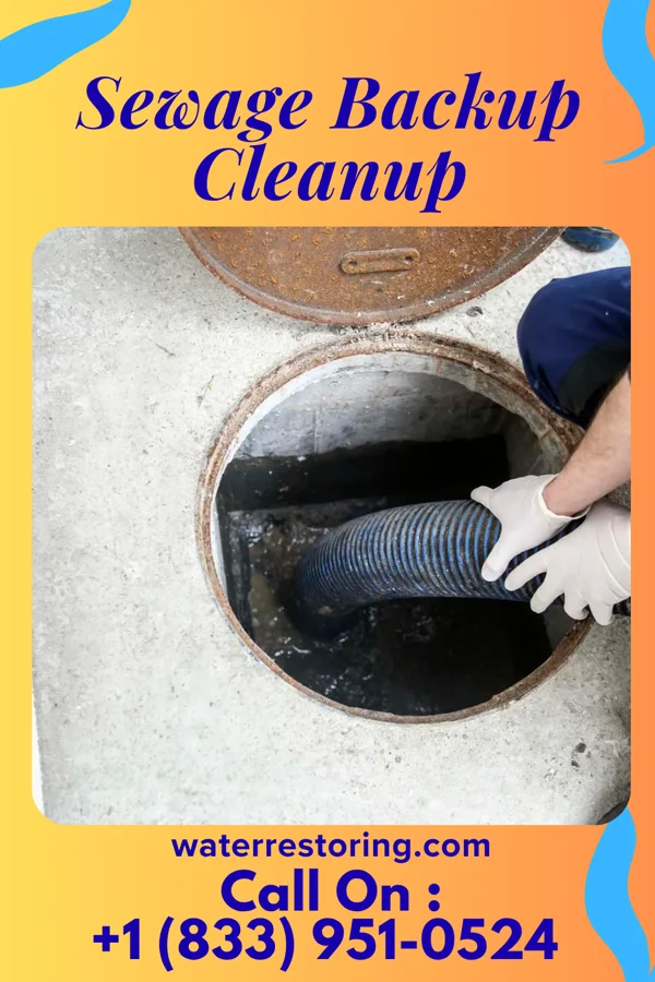 Sewage Backup Cleanup in Greensboro, MD