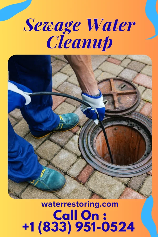 Sewage Water Cleanup in Greensboro, MD