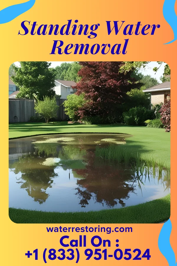 Standing Water Removal in Greensboro, MD
